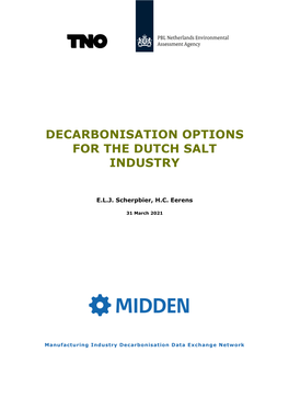 Decarbonisation Options for the Dutch Salt Industry