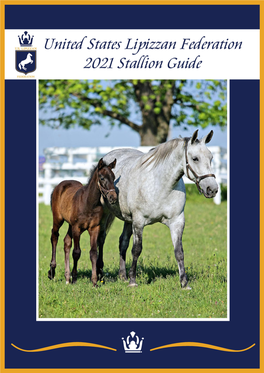 Download the Stallion Guide