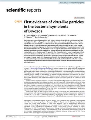 First Evidence of Virus-Like Particles in the Bacterial Symbionts of Bryozoa