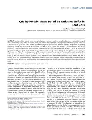 Quality Protein Maize Based on Reducing Sulfur in Leaf Cells