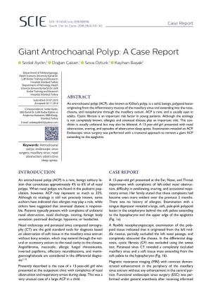 Giant Antrochoanal Polyp: a Case Report
