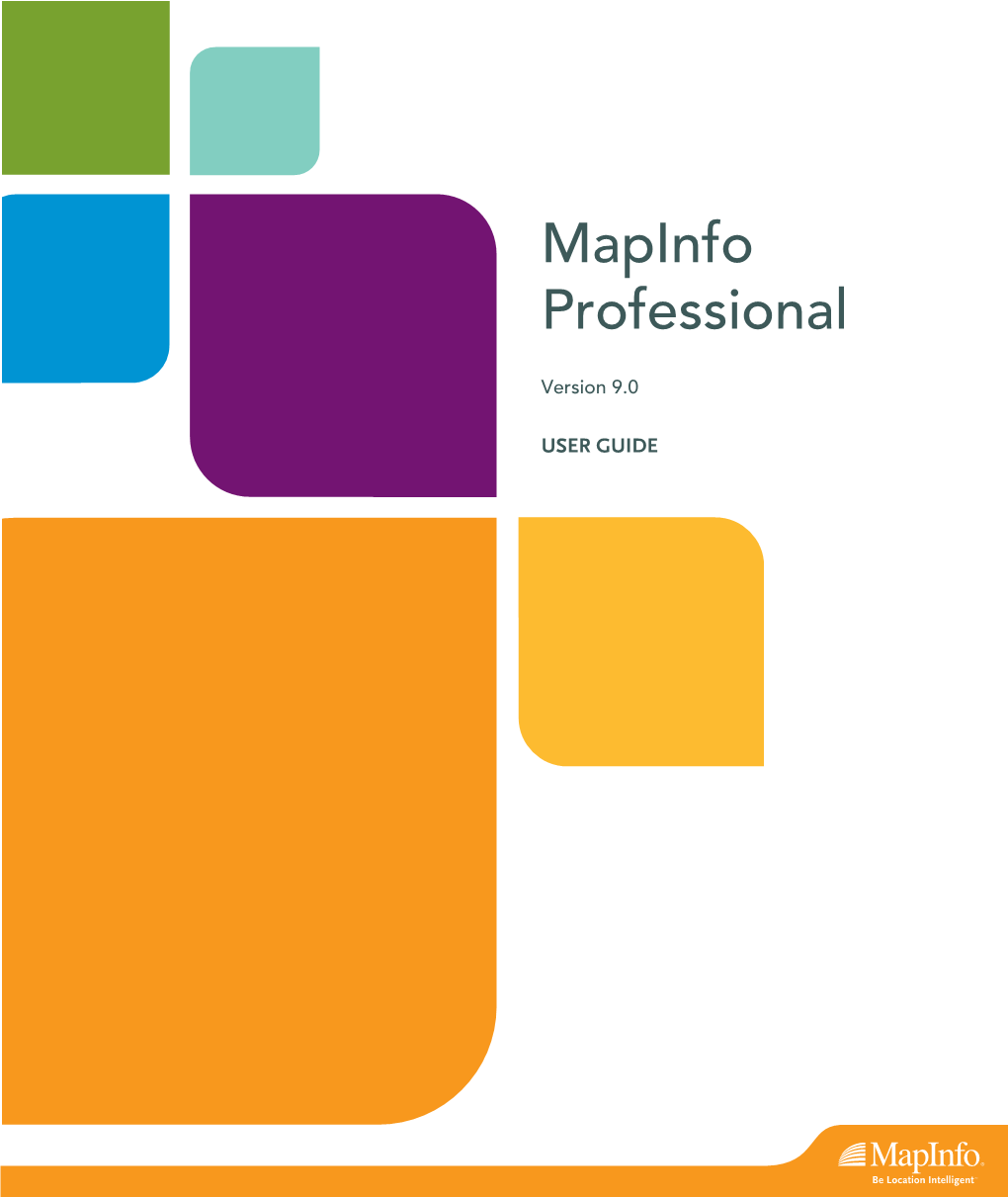 Mapinfo Professional