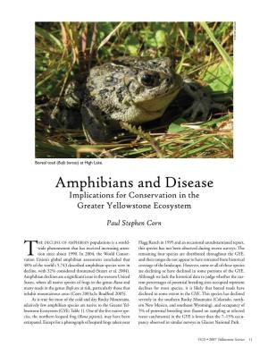 Amphibians and Disease: Implications for Conservation in the Greater