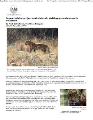 Jaguar Habitat Project Omits Historic Stalking Grounds in South Louisiana
