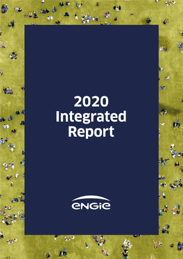 2020 Integrated Report About This Report