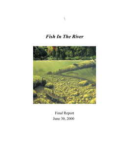 Fish in the River Report – 2000
