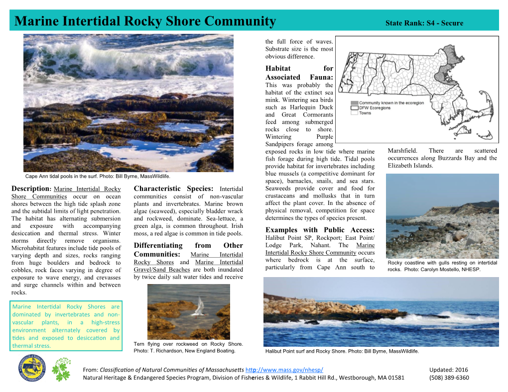Re Com Marine Intertidal Rocky Shore Community