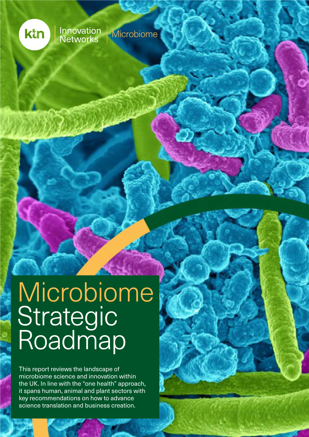 KTN Microbiome Strategic Roadmap