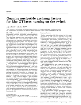 Guanine Nucleotide Exchange Factors for Rho Gtpases: Turning on the Switch