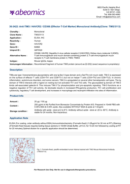 Anti-TIM3 / HAVCR2 / CD366 (Effector T-Cell Marker) Monoclonal Antibody(Clone: TIM3/3113)
