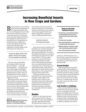 Increasing Beneficial Insects in Row Crops and Gardens