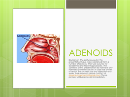 ADENOIDS Disclaimer: the Pictures Used in This Presentation Have Been Obtained from a Number of Sources