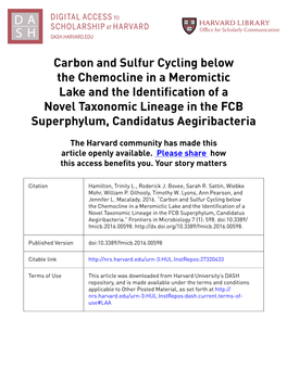 Carbon and Sulfur Cycling Below the Chemocline in a Meromictic Lake and the Identification of a Novel Taxonomic Lineage in the F