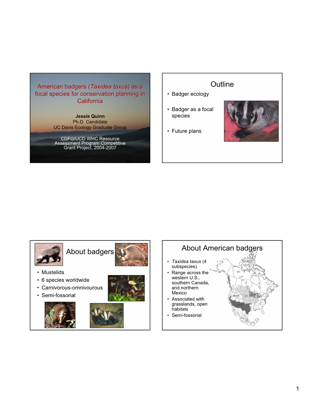 American Badgers (Taxidea Taxus) As a Outline Focal Species for Conservation Planning in • Badger Ecology California • Badger As a Focal Jessie Quinn Species Ph.D