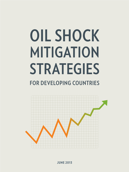 Oil Shock Mitigation Strategies for Developing Countries