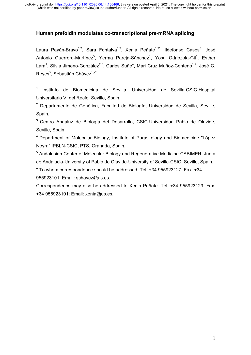 Human Prefoldin Modulates Co-Transcriptional Pre-Mrna Splicing