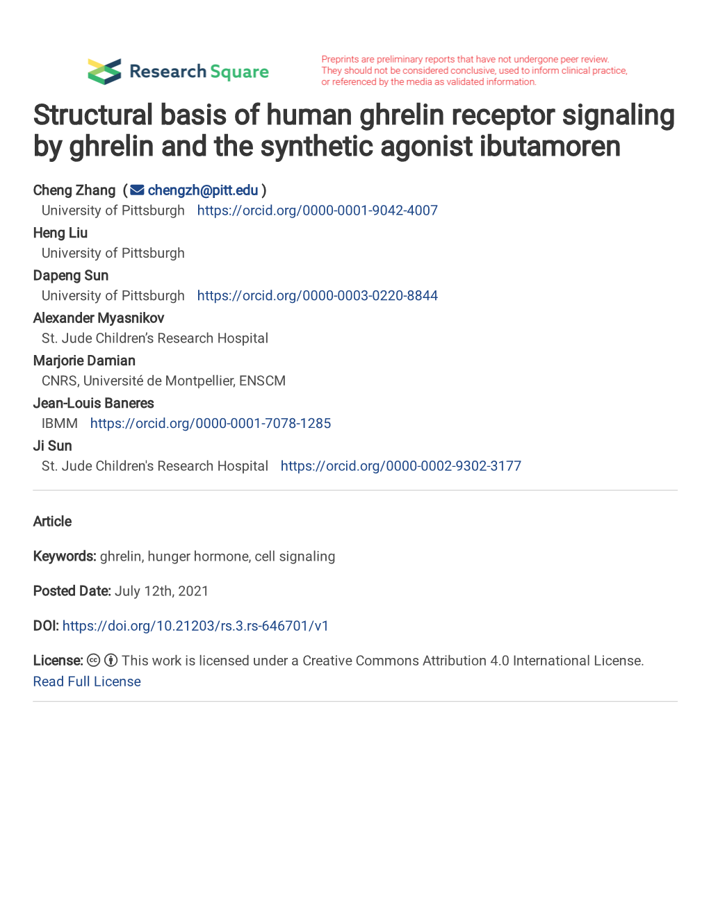 Structural Basis of Human Ghrelin Receptor Signaling by Ghrelin and the Synthetic Agonist Ibutamoren