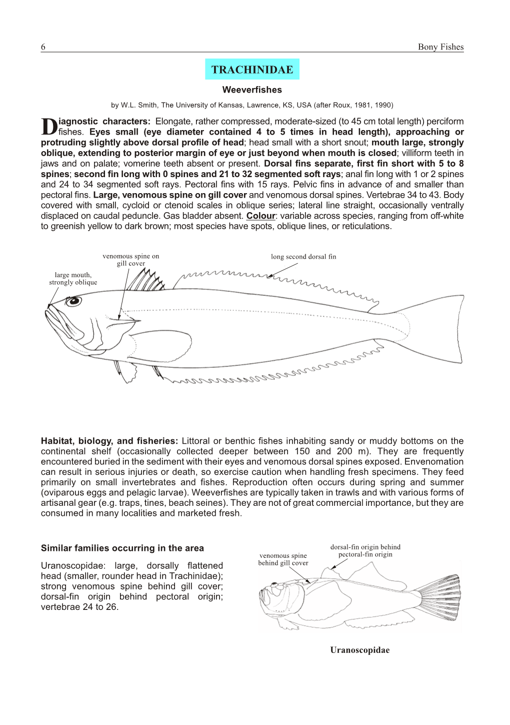 Trachinus Draco 5A