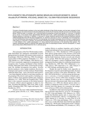 PHYLOGENETIC RELATIONSHIPS AMONG BRAZILIAN HOWLER MONKEYS, GENUS Alouatta (PLATYRRHINI, ATELIDAE), BASED on Γ1-GLOBIN PSEUDOGENE SEQUENCES