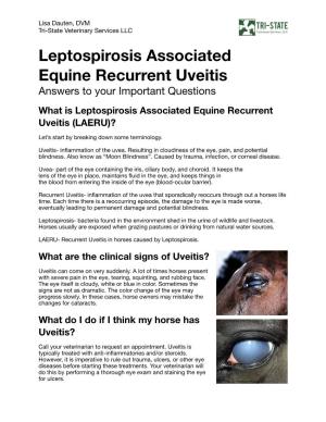 Leptospirosis Associated Equine Recurrent Uveitis Answers to Your Important Questions What Is Leptospirosis Associated Equine Recurrent Uveitis (LAERU)?