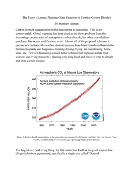 The Planet's Lungs: Planting Giant Sequoias to Combat Carbon Dioxide