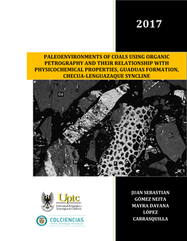 Paleoenvironments of Coals Using Organic Petrography and Their Relationship with Physicochemical Properties, Guaduas Formation, Checua-Lenguazaque Syncline