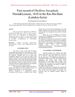 First Record of Phylliroe Bucephala Péron&Lesueur, 1810 in the Ras-Ibn-Hani