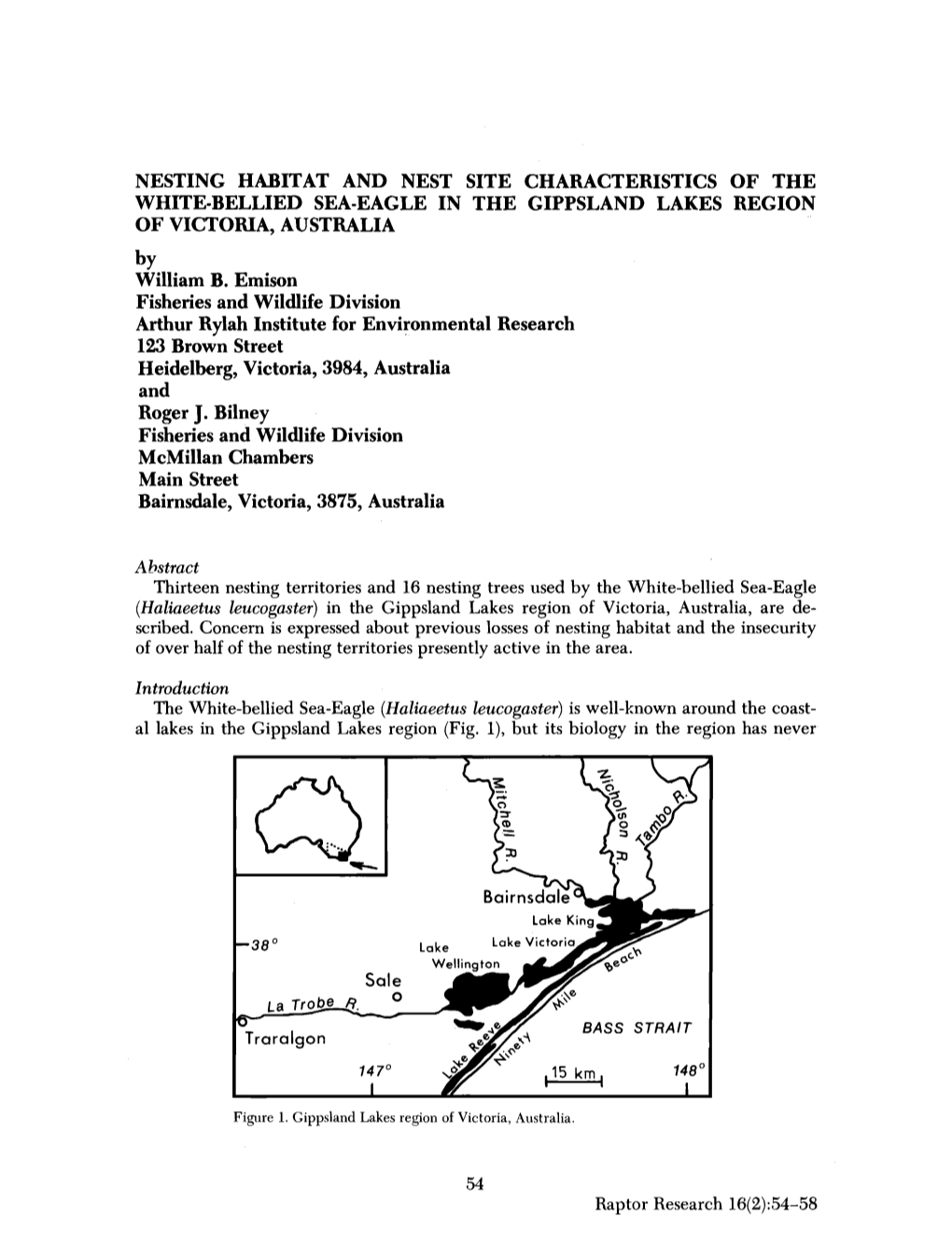 BELLIED SEA&Hyphen;EAGLE in the GIPPSLAND LAKES REGION