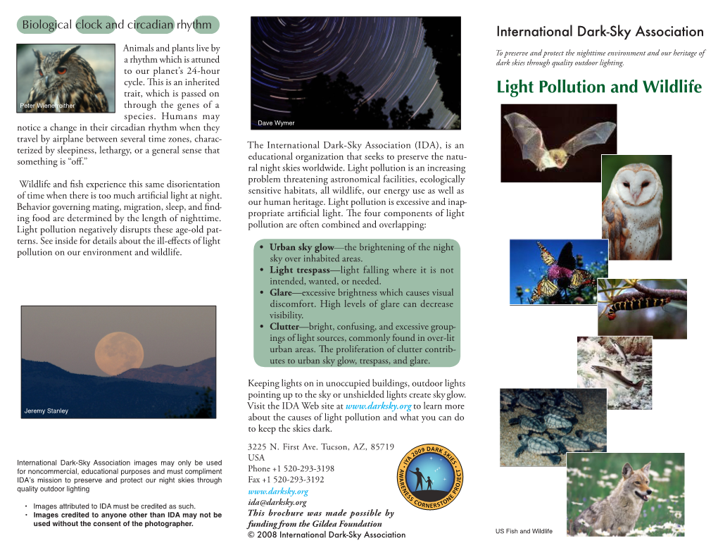 Light Pollution and Wildlife Peter Wienerroither Through the Genes of a Species