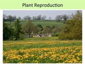 Plant Reproducqon