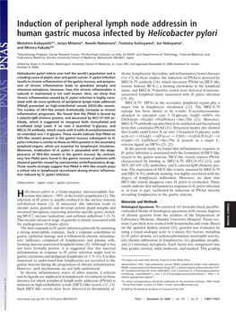 Induction of Peripheral Lymph Node Addressin in Human Gastric Mucosa Infected by Helicobacter Pylori