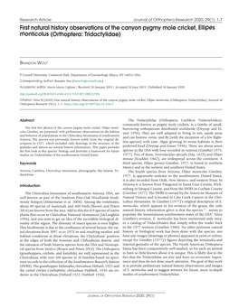 First Natural History Observations of the Canyon Pygmy Mole Cricket, Ellipes