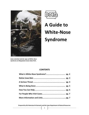A Guide to White-Nose Syndrome
