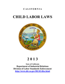 Child Labor Laws 2 0