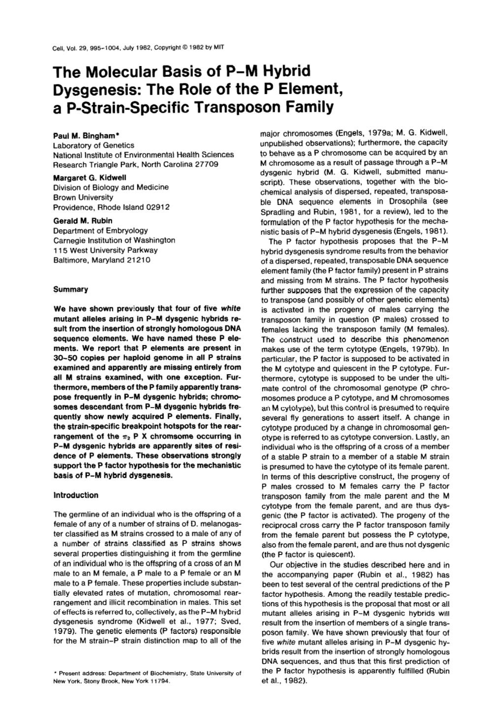 The Role of the P Element, a P-Strain-Specific Transposon Family