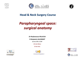 Head & Neck Surgery Course