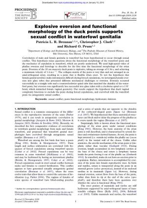 Explosive Eversion and Functional Morphology of the Duck Penis Supports Sexual Conﬂict in Waterfowl Genitalia Patricia L