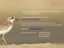 • the Following Pages Have Some Identification Markers for Each of the Plovers Found in India