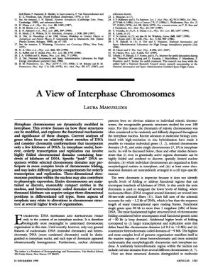 A View of Interphase Chromosomes