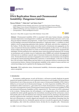 DNA Replication Stress and Chromosomal Instability: Dangerous Liaisons