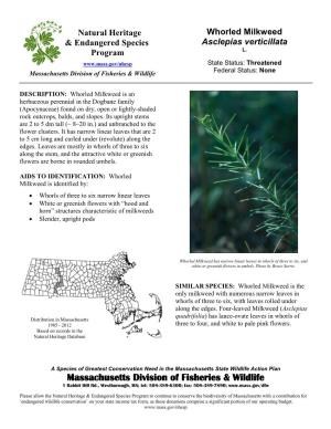 Natural Heritage Whorled Milkweed & Endangered Species Asclepias Verticillata Program