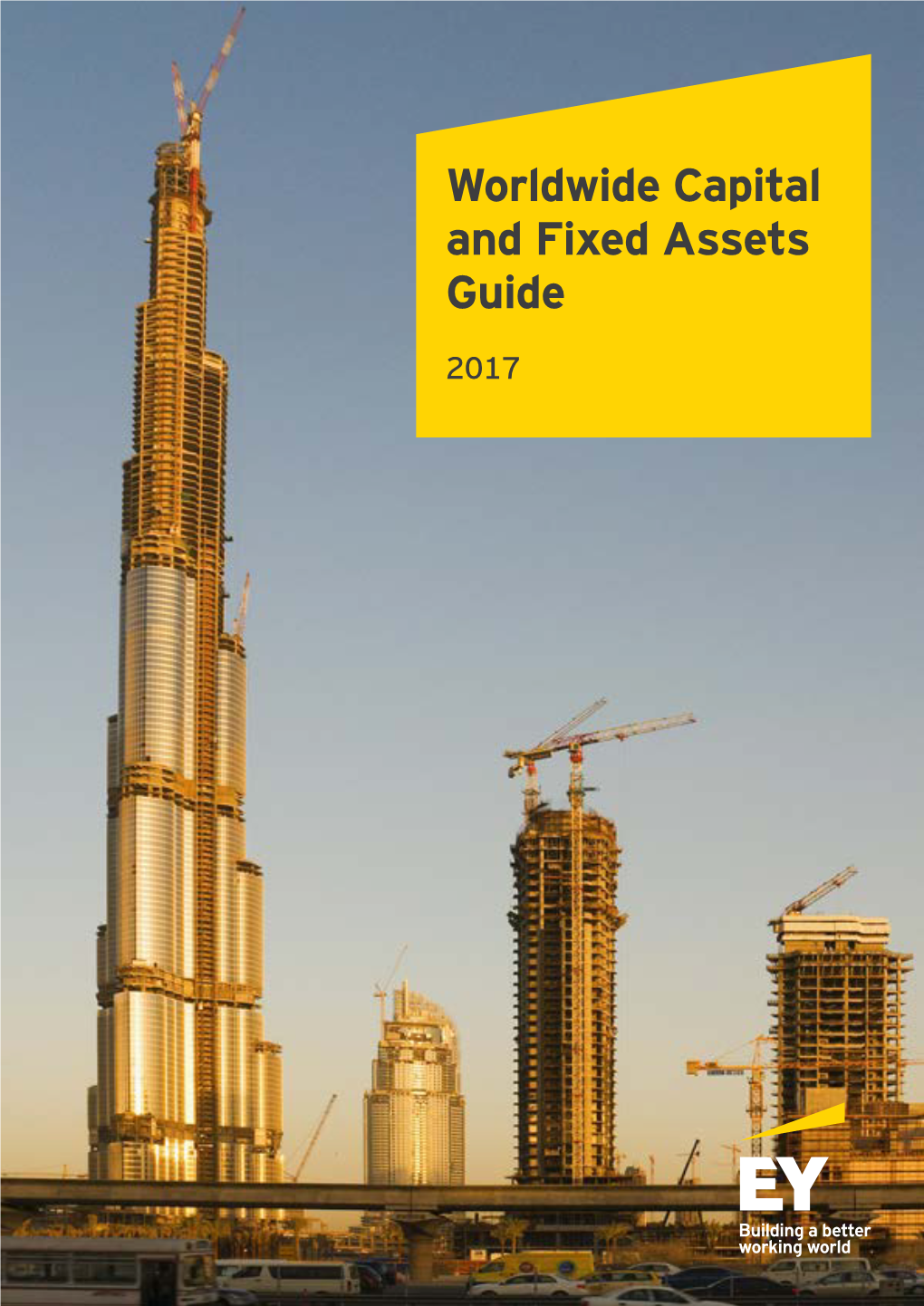 2017 Worlwide Capital and Fixed Assets Guide