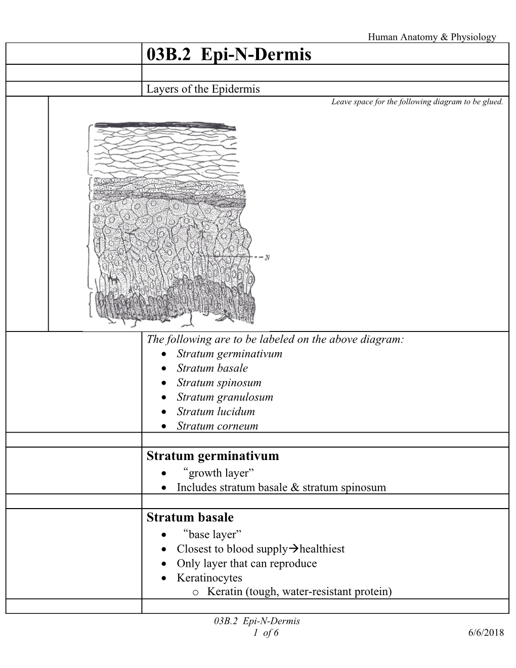 Human Anatomy & Physiology s3