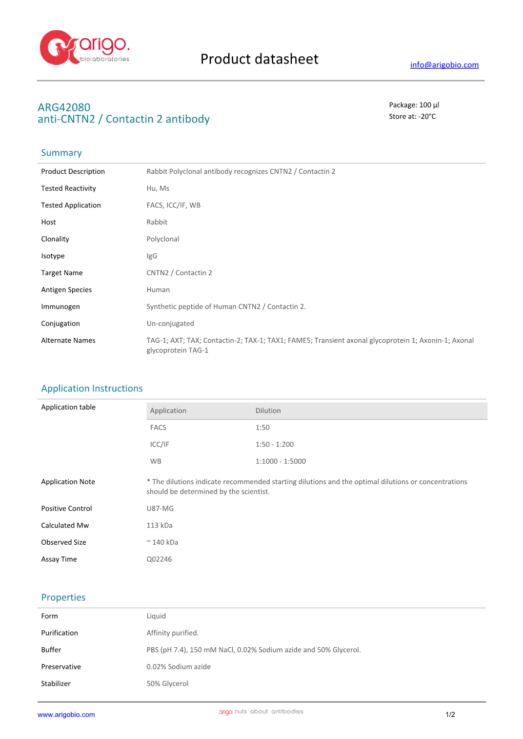 Anti-CNTN2 / Contactin 2 Antibody (ARG42080)