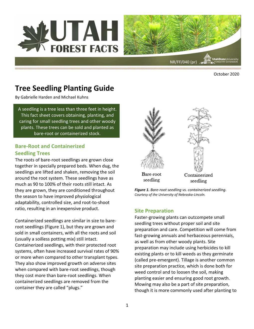 Tree Seedling Planting Guide by Gabrielle Harden and Michael Kuhns