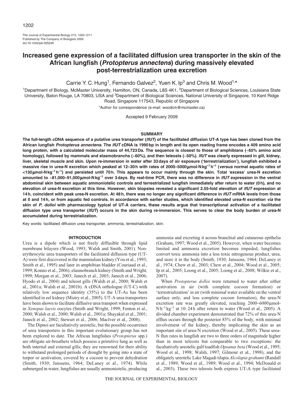 Increased Gene Expression of a Facilitated Diffusion Urea Transporter in the Skin of the African Lungfish (Protopterus Annectens