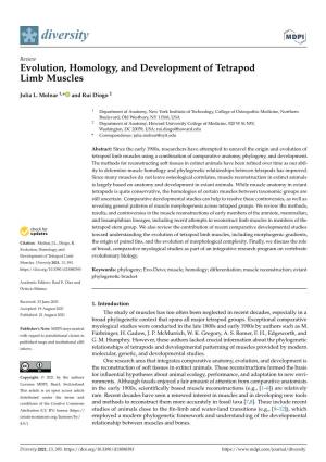 Evolution, Homology, and Development of Tetrapod Limb Muscles