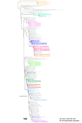 De Novo, Near Ref, and Far Ref Assemblies Separate