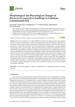 Morphological and Physiological Changes of Broussonetia Papyrifera Seedlings in Cadmium Contaminated Soil
