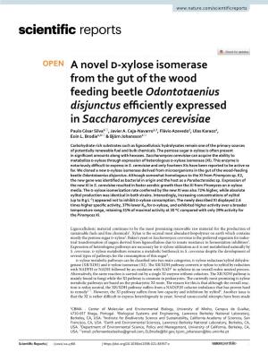 A Novel D-Xylose Isomerase from the Gut of the Wood Feeding Beetle